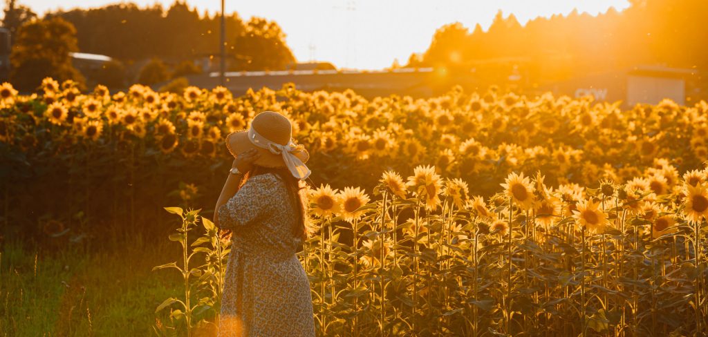Girasol como detalle visual de la marca
